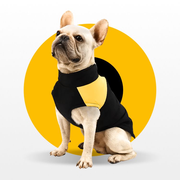 Bulldogue Special